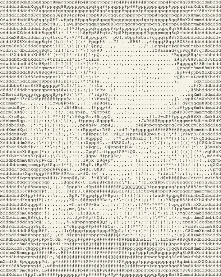 The sample photo made with ASCII Art.