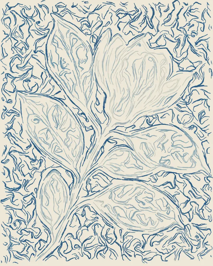 The sample photo made with Flow Field.