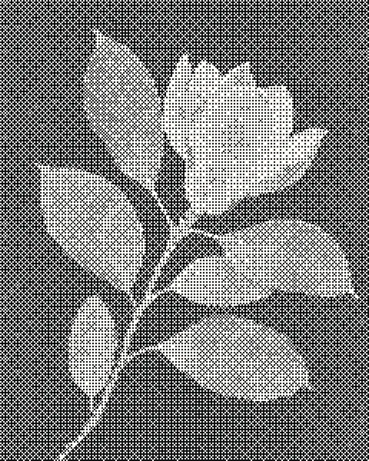 The sample photo made with Dithering.