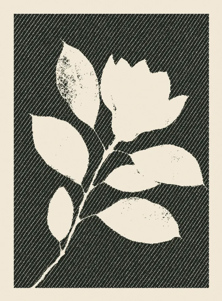 The sample photo made with Linocut.