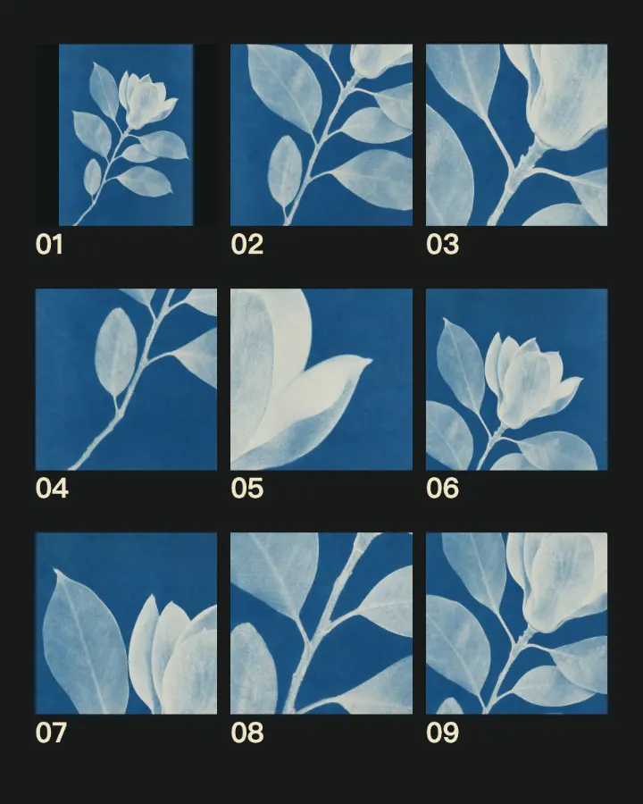 The sample photo made with Contact Sheet.