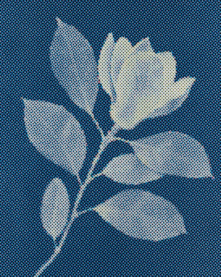 The sample photo made with CMYK Halftone.