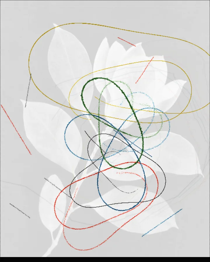 Flow Field result made from the bundled sample