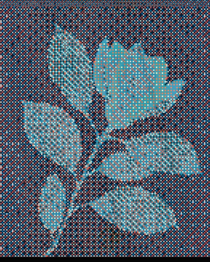 Dithering result made from the bundled sample