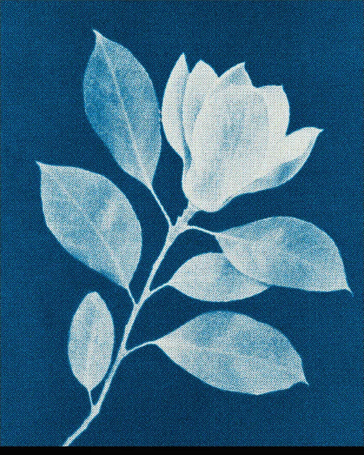 CMYK Halftone result made from the bundled sample